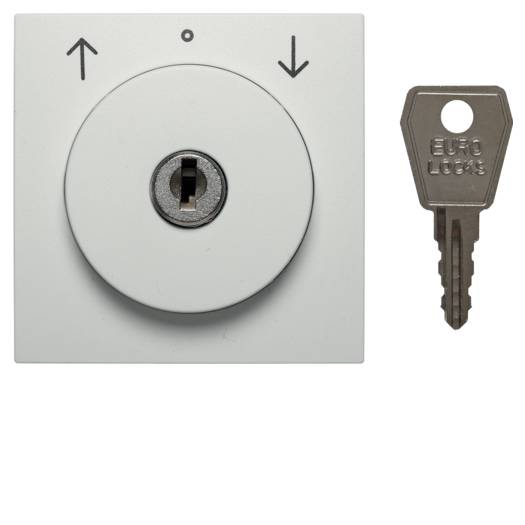 Накладка с замком для жалюзийного замочного выключателя (ключ вынимается в позиции 0), полярная белая (Арт. 10811909) 000022747