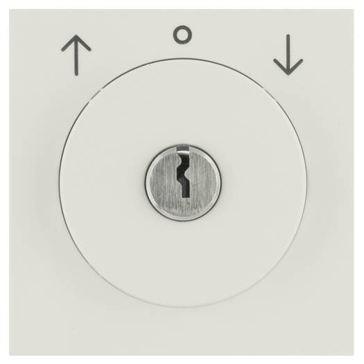 Накладка с замком для жалюзийного замочного выключателя (ключ вынимается в позиции 0), слоновая кос (Арт. 10818982) 000022745