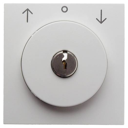 Накладка с замком для жалюзийного замочного выключателя (ключ вынимается в позиции 0), полярная белизна (Арт. 10818989) 000022746