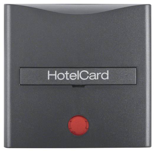 Накладка для карточного вимикача для готелів, антрацит S.1 000022723
