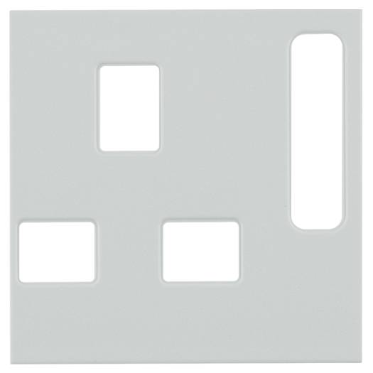 Панель для розетки UK-стандарта с выключателем S.1/B.х полярная белизна матовая (Арт. 3313079909) 000022872