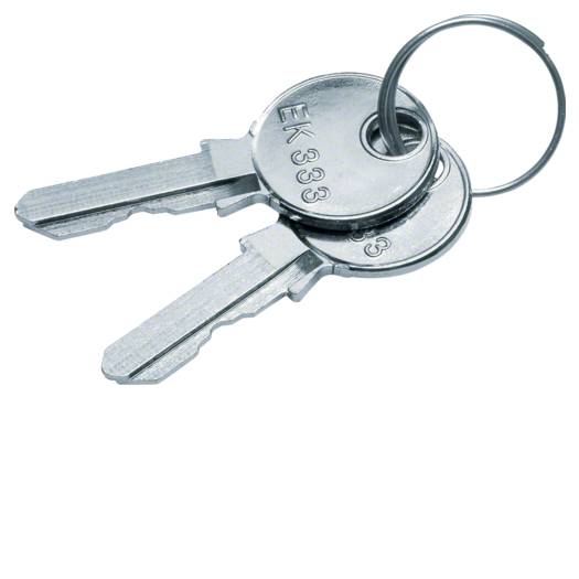 Купить Запсаной ключ для ручок FZ531+FZ533, Univers (Арт. FZ539) 71,40 грн