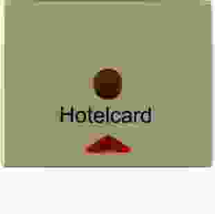 Купить Накладка для карточного выключателя для гостиниц, бронзовий лак, ARSYS (Арт. 16419011) 1 929,90 грн