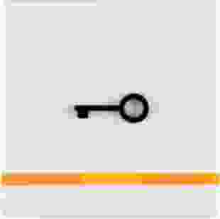 Купить Клавиша 1Х, с линзой и рельефным знаком знаком "Ключ", полярная белизна, Q.х (Арт. 16516069) 414,10 грн