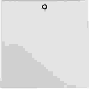 Купити Клавіша 1Х з написом '0', пол.білизна-matt S.1 177,80 грн