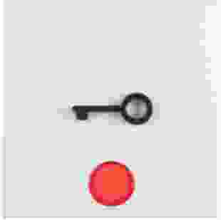 Купити Клавіша 1Х з лінзою та знаком Ключ, пол.білизна-matt S.1 364,10 грн