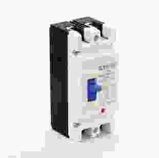 Купити Вимикач автоматичний силовий ВАМ9-100 2Р 125А DC500V 20кА TAKEL 1 831,50 грн