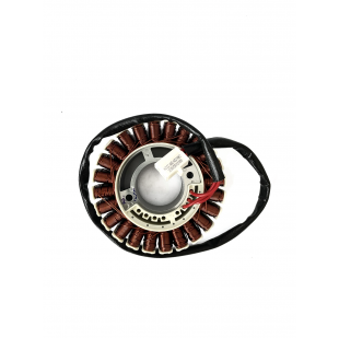 Купити Статор інверторного генератора MaxPeedingRods MXR5500 8 200,00 грн