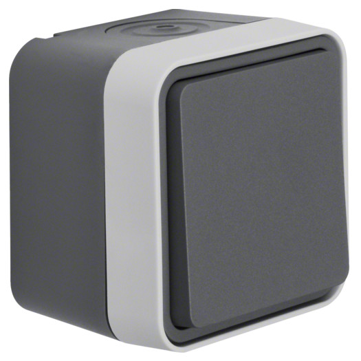Вимикач хрестовий IP55, сірий, 10АX/250В W.1 000036841