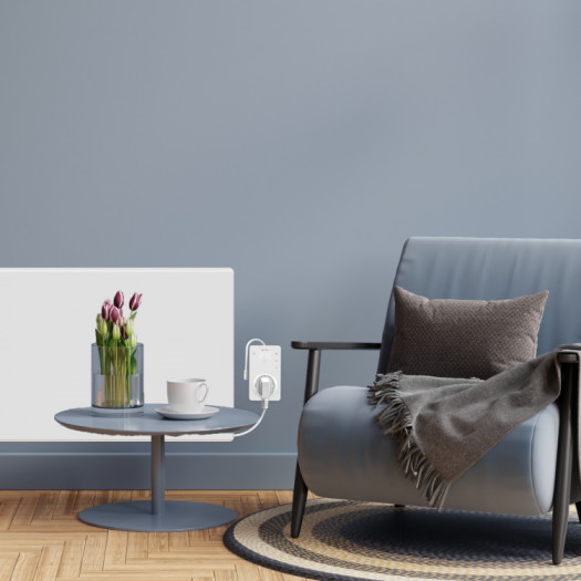 Купити Терморегулятор розеточний terneo srz 1 115,00 грн