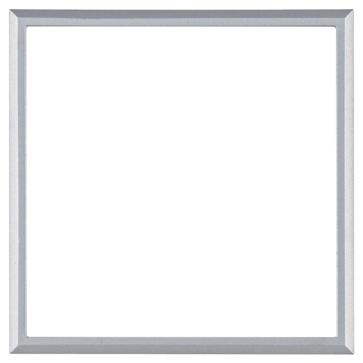 Рамка проміжна Passion, срібна 000052727